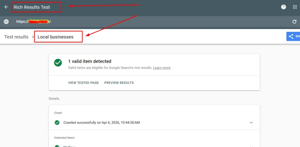 Google Rich Results Test analyzing website schema markup for validation