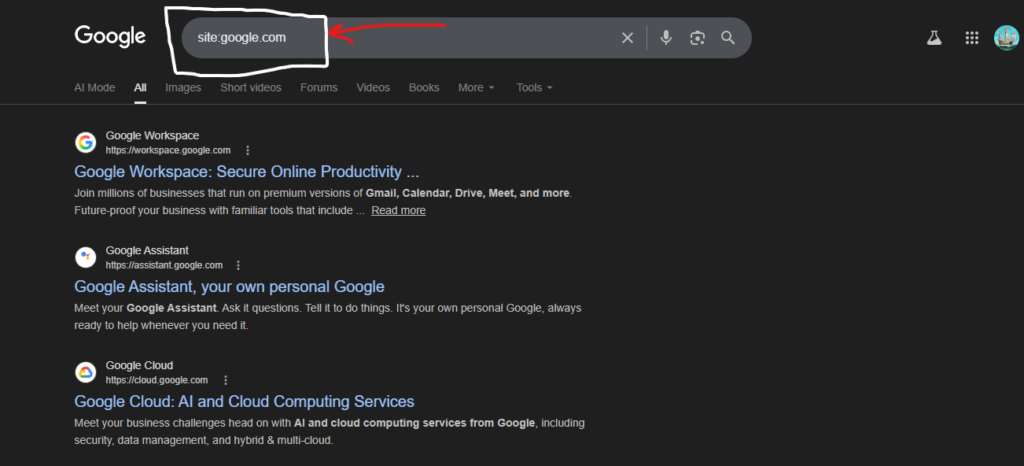 A Google Search results page showing the site search operator "site:yourwebsite.com" to verify indexed pages.